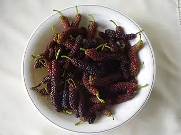 Long mulberry