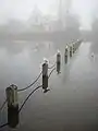Birds sitting on poles in the Long Water