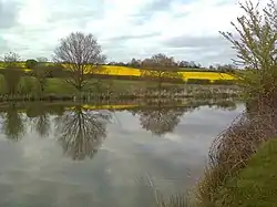 Lamb's Pool