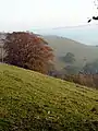 Looking towards Coombe Hill, Stroud