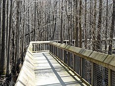 Boardwalk leading to the site.