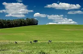 A Lower Macungie Township farm in August 2011