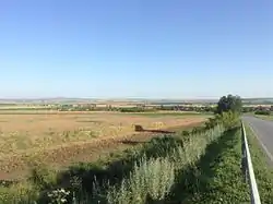Field by the roadside of Lozarevo