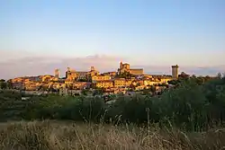 Lucignano from the castle