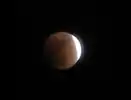 Eclipse observed from Victoria, British Columbia, at 2:49 UTC. Lunar north is near top-left.