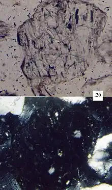 Vitric volcanic lithic fragment, scale in millimeters.  Top picture in plane-polarized light, bottom picture in cross-polarized light.