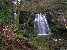 Linn Spout on the Caaf Water; illustrating the thick limestone deposits in this area.