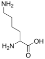 Unmethylated lysine