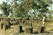 Image 12Megalithic alignments in Senegal. (from History of Senegal)