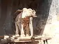 Kaliyugavarathar Temple Elephant