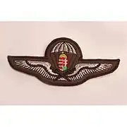 Parachute badge for warrant officers and noncommissioned officers