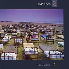 A line of hospital beds stretch into the distance on an overcast beach. A man sits on one bed holding a mirror. The sky is slightly purple.