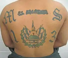 A member of MS-13 with a tattoo displaying the gang's name and the country's coat of arms