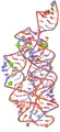 A 3D representation of the Ykok leader. Structure of the M-box riboswitch aptamer domain from Bacillus subtilis.