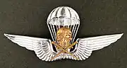 Royal Hungarian Army parachutist badge in silver