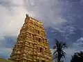 Mahanandi Temple Gopuram