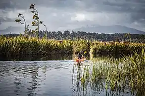 A kayaker on Mahināpua Creek