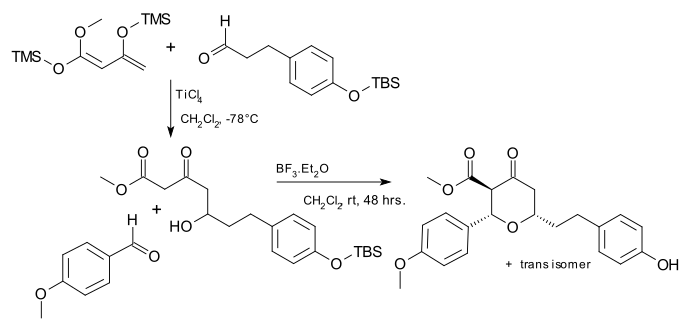 Japp–Maitland condensation in centrolobine synthesis