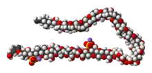 Space-filling model of the maitotoxin molecule