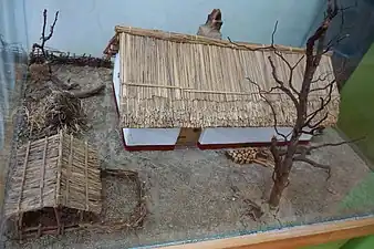 Model of a salaš with no elevated foundation in the Kikinda Museum, Vojvodina, Serbia