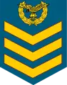 Flight Sergeant