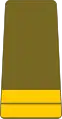 Lieutenant(Guinea Ground Forces)