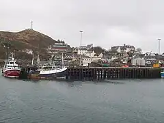 Mallaig harbour