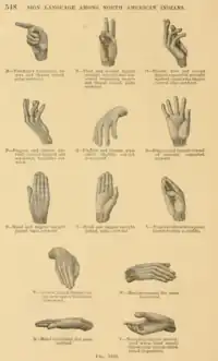 Types of hand positions in sign language. Positions M through Y. M: Forefinger horizontal, fingers and thumb closed, palm outward. N: First and second fingers straight upward and separated, remaining fingers and thumb closed, palm outward. 0: Thumb, first and second fingers separated, straight upward, remaining fingers curved edge outward. P: Fingers and thumb partially curved upward and separated, knuckles outward. Q: Fingers and thumb, separated, slightly curved, downward. R: Fingers and thumb extended straight, separated, upward. S: Hand and fingers upright, joined, back outward. T: Hand and fingers upright, joined, palm outward. U: Fingers collected to a point, thumb resting in middle. V: Arched, joined, thumb resting near end of forefinger, downward. X: Hand horizontal, flat, palm upward. W: Hand horizontal, flat, palm downward. Y: Naturally relaxed, normal; used when hand simply follows arm with no intentional disposition.