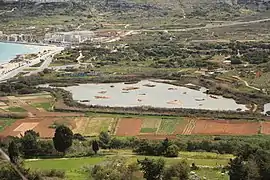 Għadira Nature Reserve