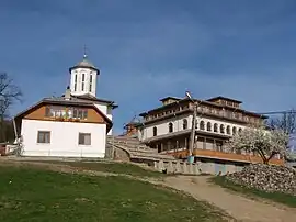 Dealu Mare Monastery in Borăscu