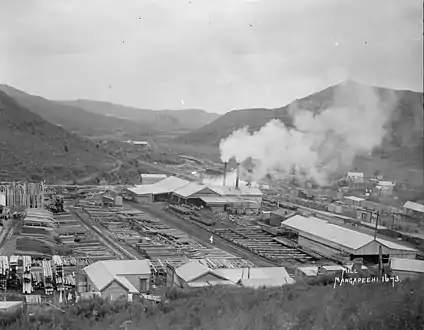 Mangapehi railway station and Ellis and Burnand sawmill before 1930