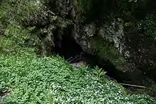 Looking down into a wide, well-vegetated shakehole with steps leading down the right-hand-side, at the bottom of which a dark river is visible beyond a man-made concrete jetty.