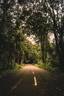 Road leading to Maredumilli