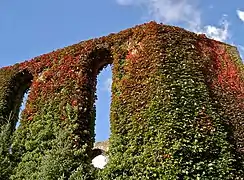 Covering a German ruin