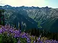 Petunia Peak (right) seen from east. Mt. Deception upper left corner.