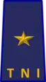 An Indonesian (IAF) air commodore's rank insignia.