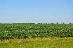 Fields along U.S. Route 52, southwest of Martinton