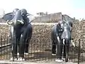 Masonry elephants