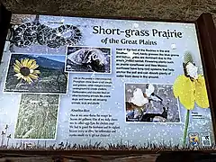 Interpretive sign