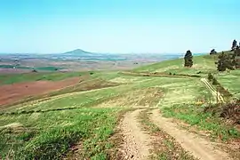Skyline Drive with Steptoe Butte in background.