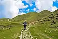 Meadows of Khaptad National Park