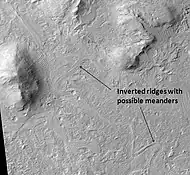 Meandering Ridges that are probably inverted stream channels. Illumination is from the NW. Image taken with HiRISE.