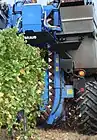 A Braud grape harvester shaking the grape vines to remove berries during harvest in Lombardy (Italy)