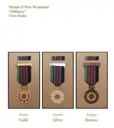 Medal of War Injuries