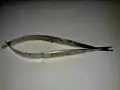 Corneal spring scissors