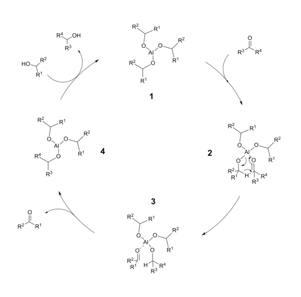 Meerwein–Ponndorf–Verley reduction catalytic cycle