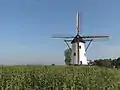 Windmill: de Witte Molen