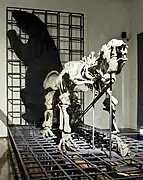 Section of Natural HistoryMegatherium skeleton