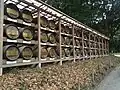 Barrels of Burgundy wine from France donated to Meiji-shrine