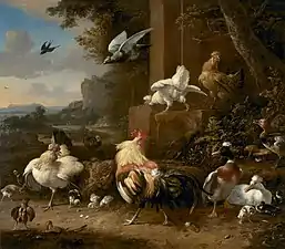 The Poultry Yard (1690s), oil on canvas, 148.2 x 170.3 cm., National Gallery of Victoria